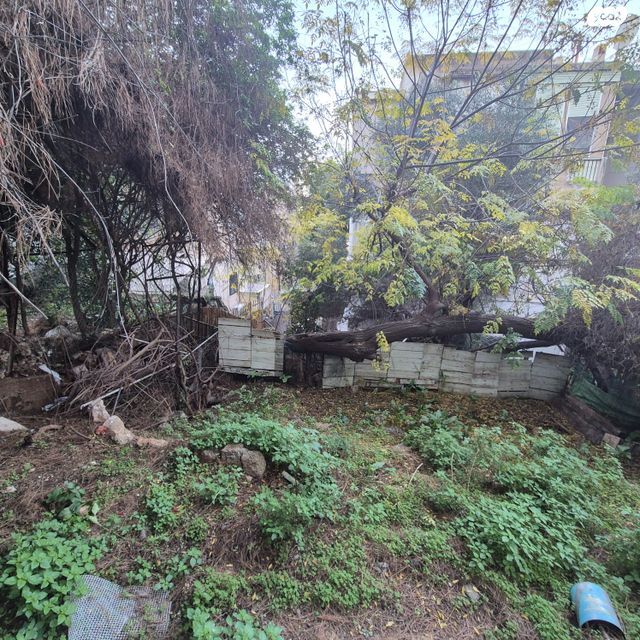 דירה, הדר עליון, חיפה