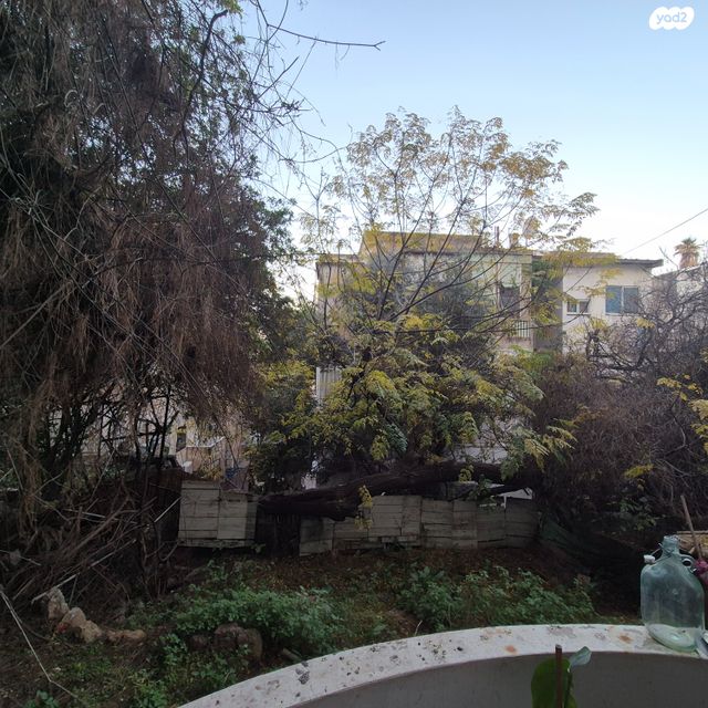 דירה, הדר עליון, חיפה