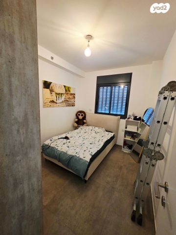 דירה, דולפין, גלי כרמל, טירת כרמל