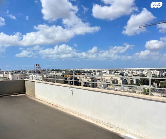 נווה דוד רמז