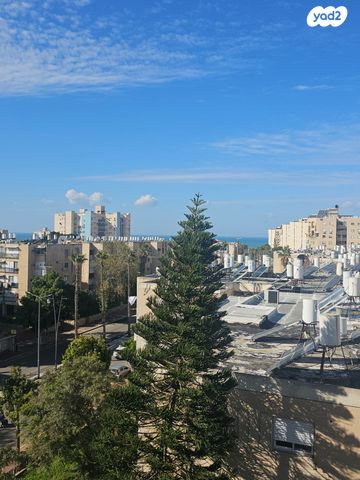 דירה, אשקלון