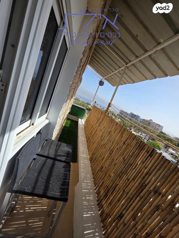 דירה, לוס אנג'לס, ערבה, אילת