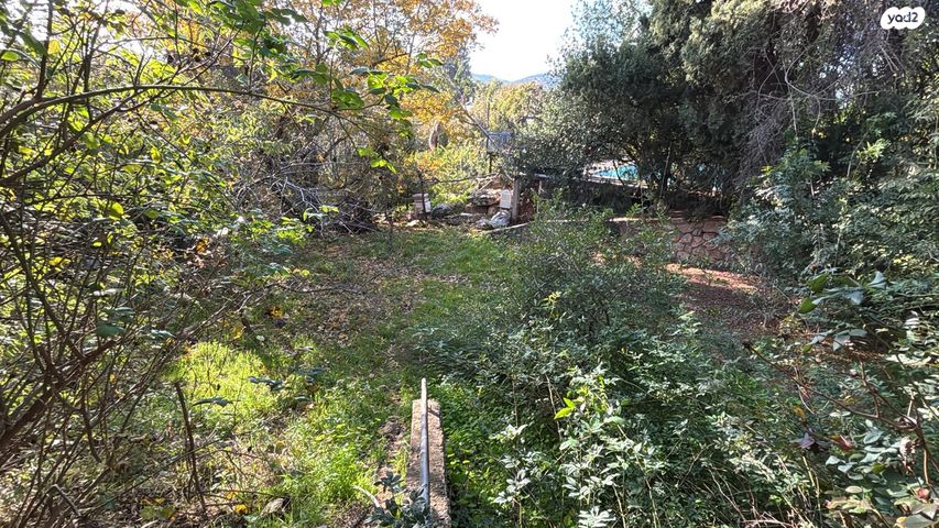 בית פרטי/ קוטג', קק"ל, קרית עמל, קרית טבעון