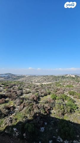 הרב גרוסמן ישראל 