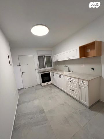 דירת גן, המלך דוד, נווה דוד, חיפה