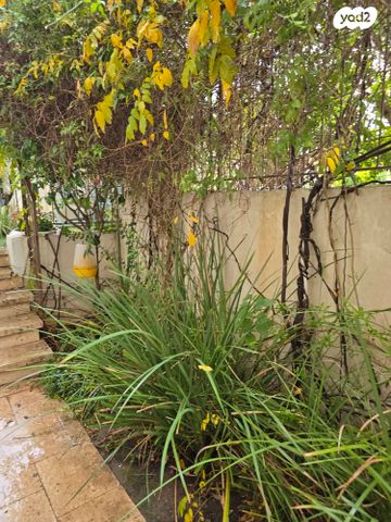 משרדים, מזור