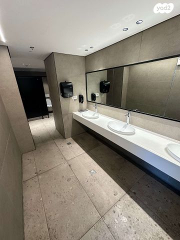 משרדים, פנחס ספיר, שאר העיר, נס ציונה