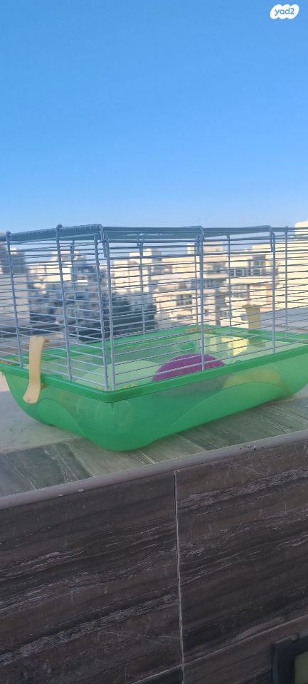 תמונת מודעה - חיות מחמד