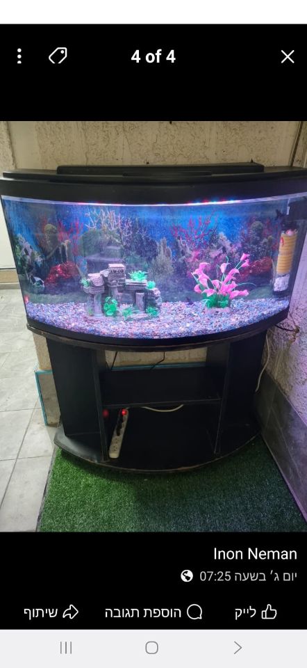 תמונת מודעה - חיות מחמד