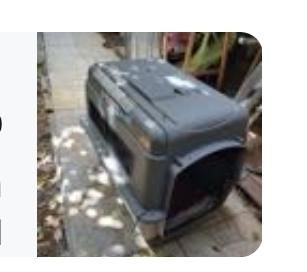 תמונת מודעה - חיות מחמד