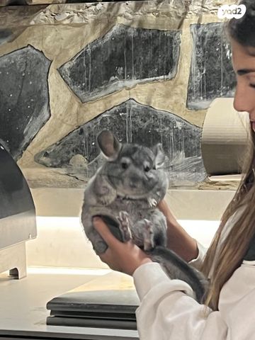 תמונת מודעה - חיות מחמד