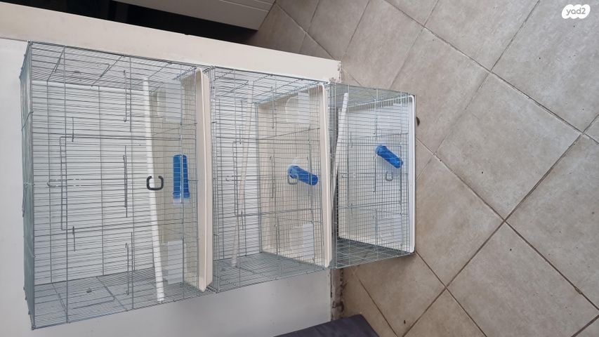 תמונת מודעה - חיות מחמד