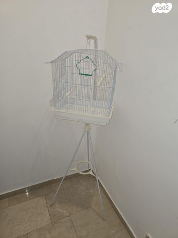 תמונת מודעה - חיות מחמד