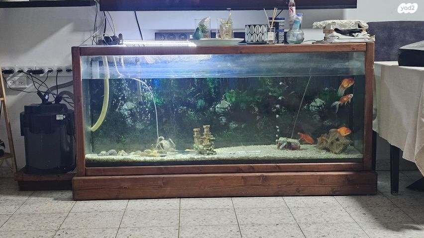 תמונת מודעה - חיות מחמד