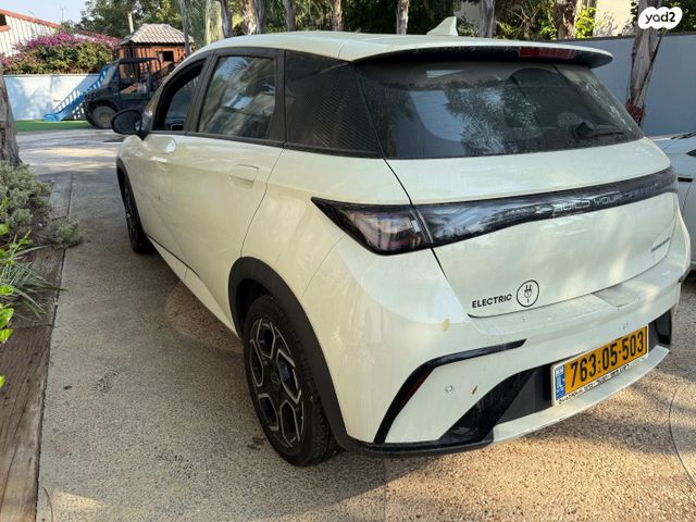 בי.ווי.די דולפין