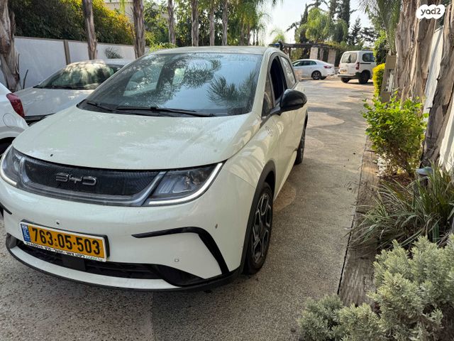 מודעת רכב בי.ווי.די דולפין