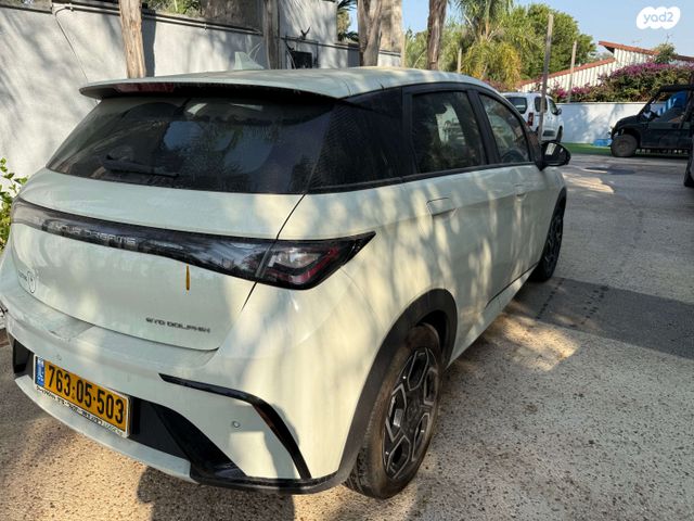 בי.ווי.די דולפין