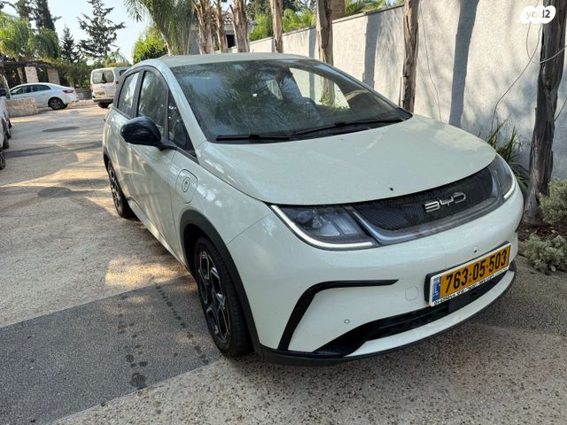 בי.ווי.די דולפין