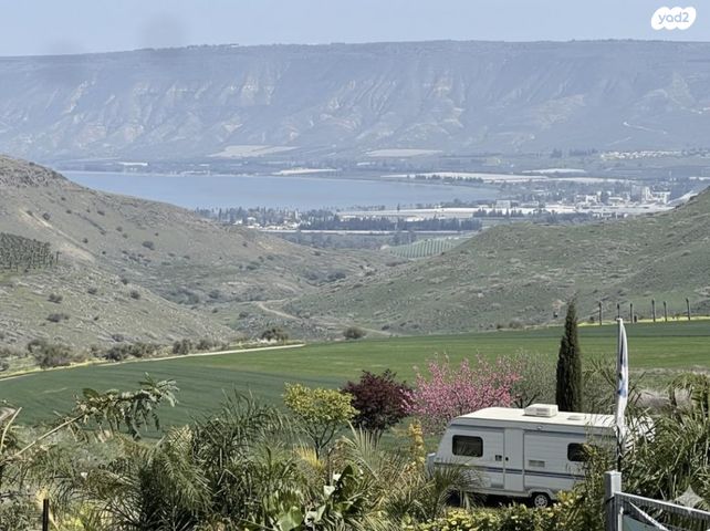 אירוס הגליל 1