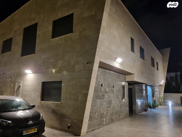 דוד בן גאון 11