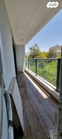 פנחס לבון 12