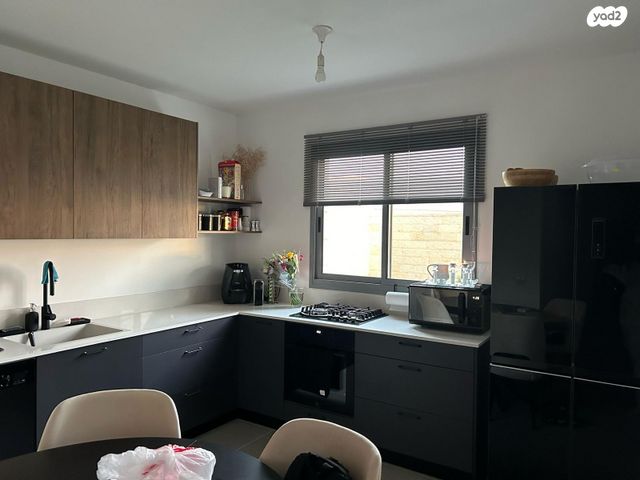 חיים הרצוג 12