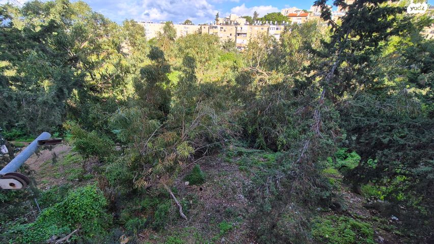 דירה, סעדיה גאון 11, קרית שפרינצק, חיפה