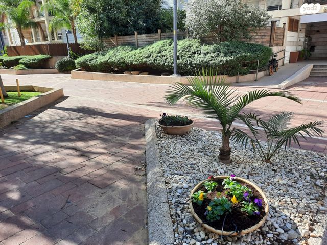 דירת גן, הר הצופים 31, רחובות ההולנדית, רחובות