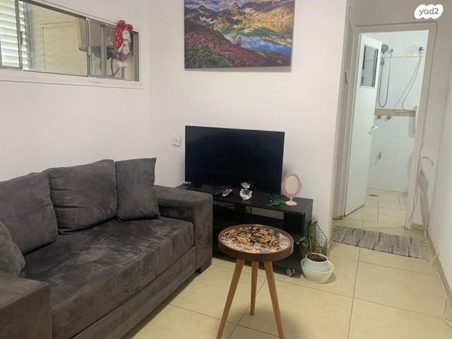 דוד רזיאל 13