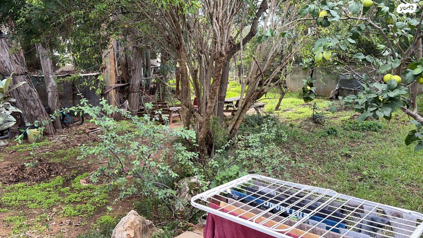 יחידת דיור, כוכב הים 74, חופית, חופית