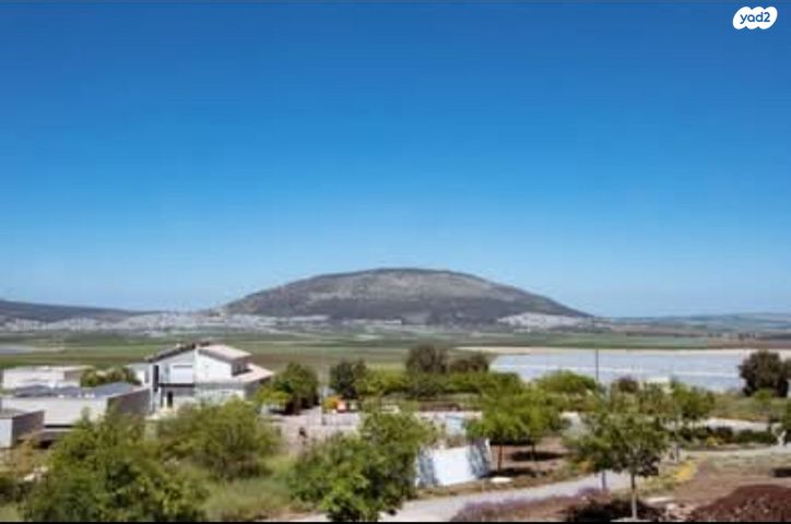 שביל האורן 1