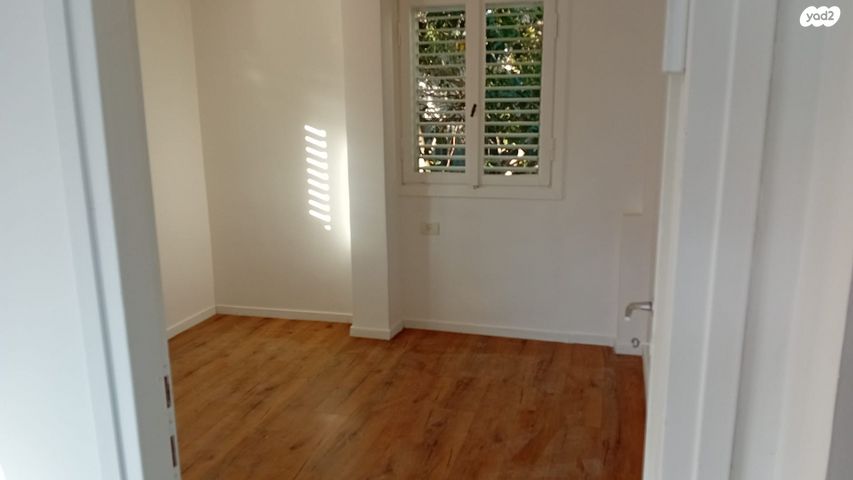 ברדיצ'בסקי 29