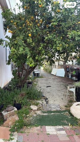 בית פרטי/ קוטג', כנען 66, תנובות, תנובות