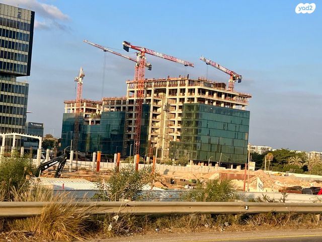 אריה שנקר 17