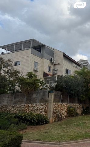 אירוס הארגמן 