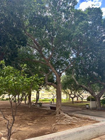 דירה, אלי כהן, רמת הנשיא, בת ים