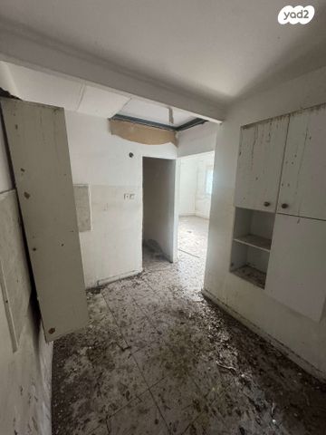 דירה, קיבוץ גלויות, חיפה