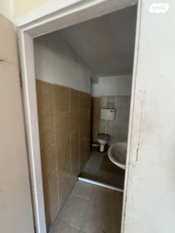 דירה, קיבוץ גלויות, חיפה