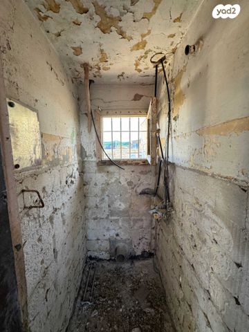 דירה, החלוץ, הדר מרכז, חיפה