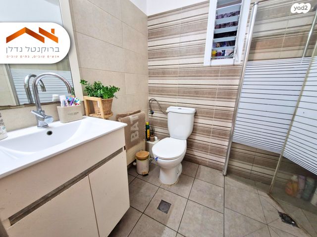 דירה, שלמה, ירושלים