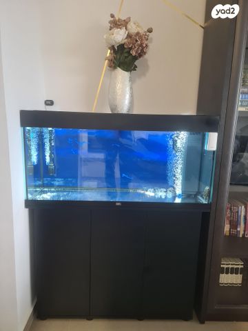 תמונת מודעה - חיות מחמד