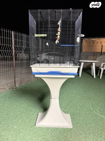 תמונת מודעה - חיות מחמד