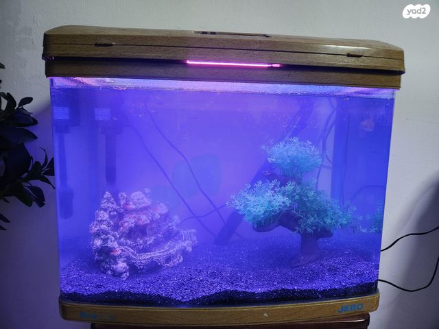 תמונת מודעה - חיות מחמד