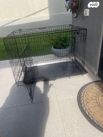 תמונת מודעה - חיות מחמד