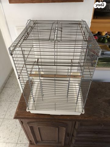 תמונת מודעה - חיות מחמד