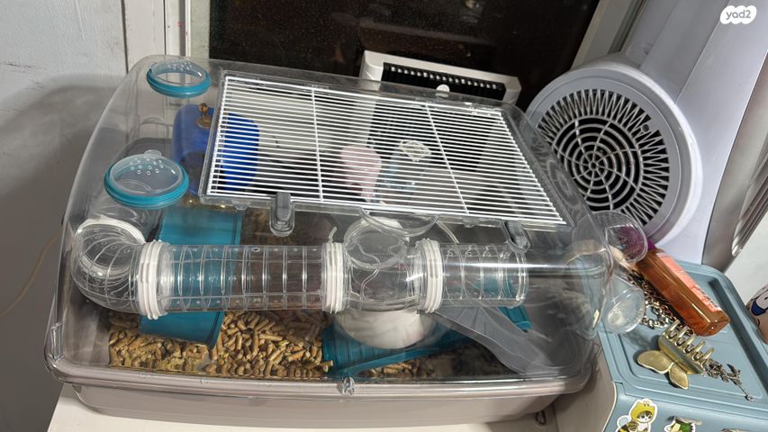 תמונת מודעה - חיות מחמד