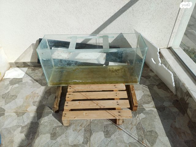 תמונת מודעה - חיות מחמד