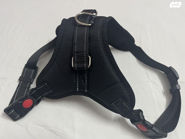 תמונת מודעה - חיות מחמד