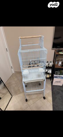 תוכי קוקוטייל