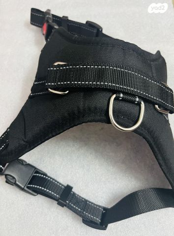 אביזרים | קולר